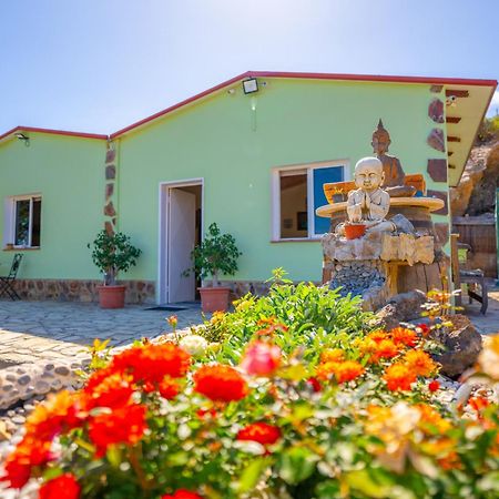 Casa Rural Buda Terra Санта-Крус-де-Тенерифе Экстерьер фото