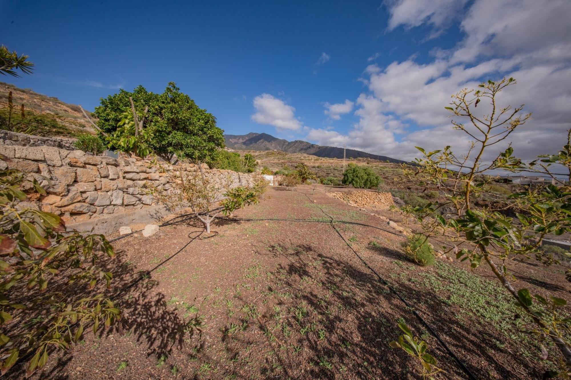 Casa Rural Buda Terra Санта-Крус-де-Тенерифе Экстерьер фото