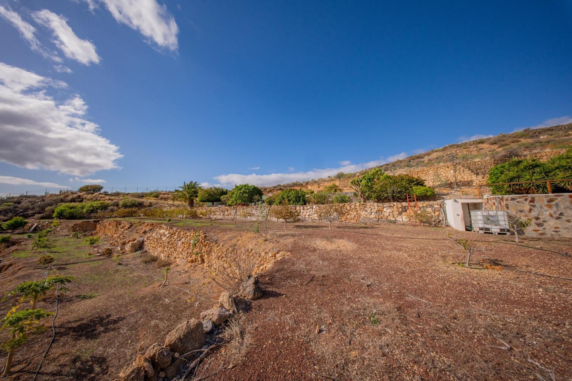 Casa Rural Buda Terra Санта-Крус-де-Тенерифе Экстерьер фото