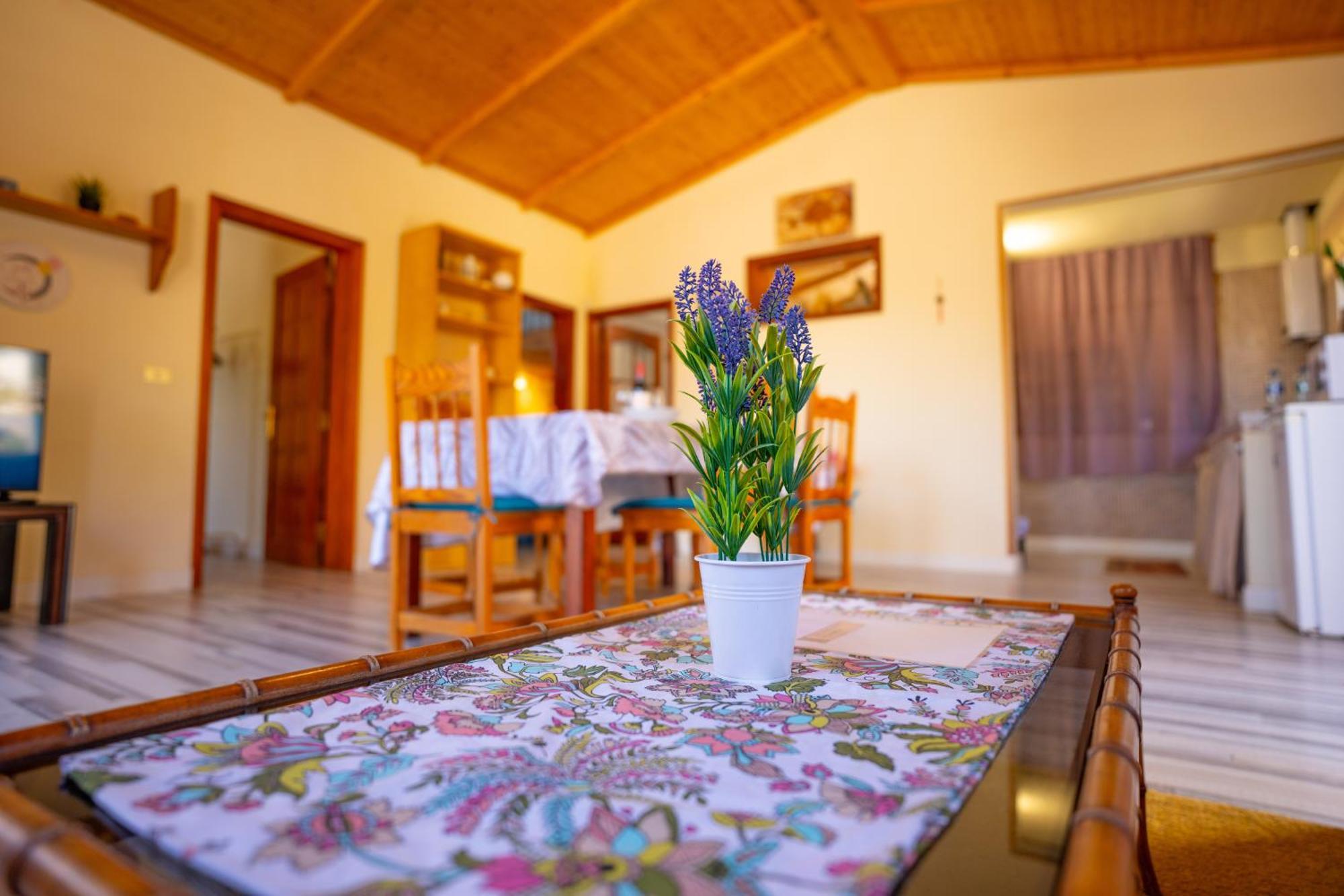 Casa Rural Buda Terra Санта-Крус-де-Тенерифе Экстерьер фото